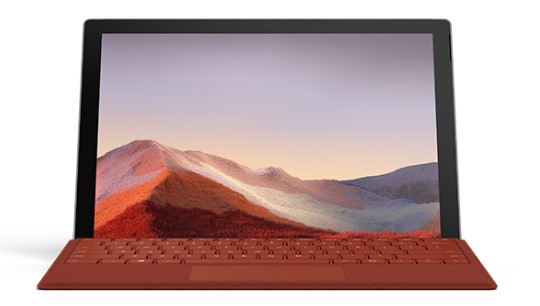 贞丰清洁和维护 Surface